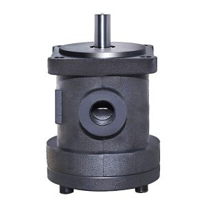 pompe a palette a cilindrata fissa