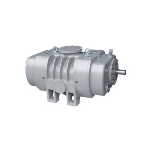 pompa per vuoto per radici raffreddata a gas