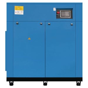 Compressore d'aria a vite a due stadi con conversione di frequenza PM