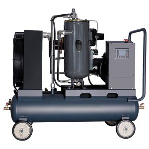compressore d'aria a vite portatile