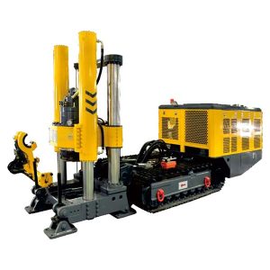 alesatrice cingolata